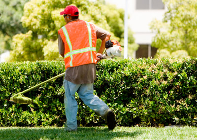 landscaper and lawn care specialist needs dot physical 